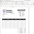 Editable Invoice Template for Small Businesses DIGITAL DOWNLOAD